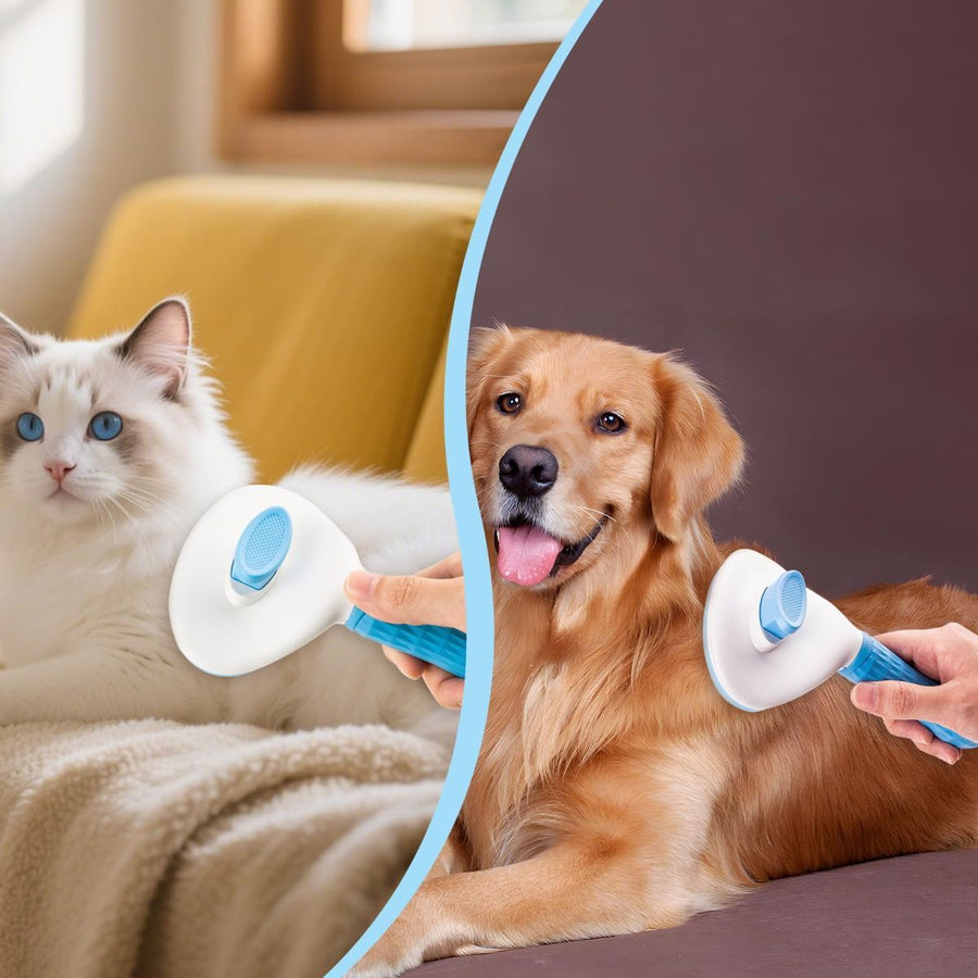 Self Cleaning Pet Brush Grooming Brush Remove Loose - KAZIPAWS