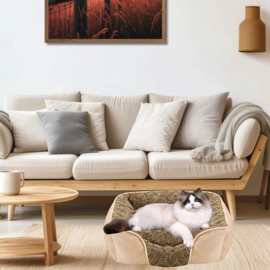 Dog Bed for Small Medium Dogs Cat Bed for Indoor
