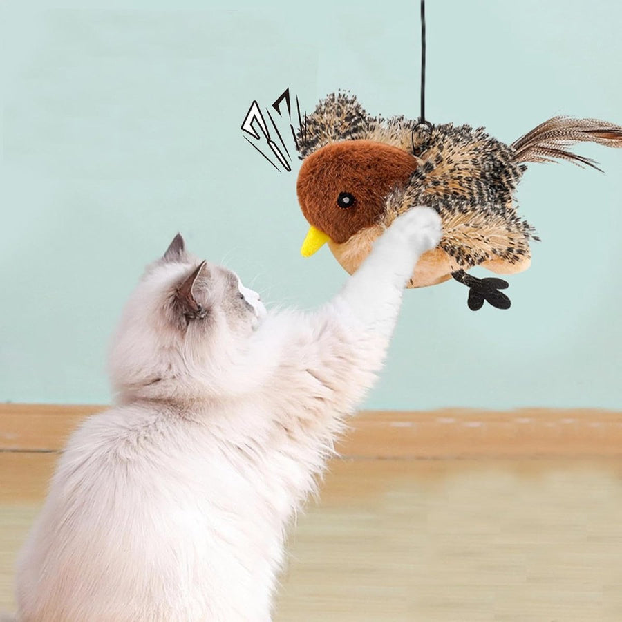Cat Toys with Catnip Flappy Bird Toy for Indoor - KAZIPAWS