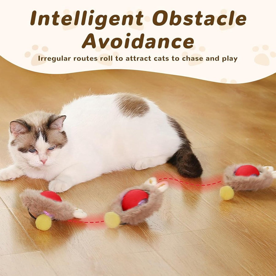 Cat Toys Balls Interactive Toy Ball Toys - KAZIPAWS