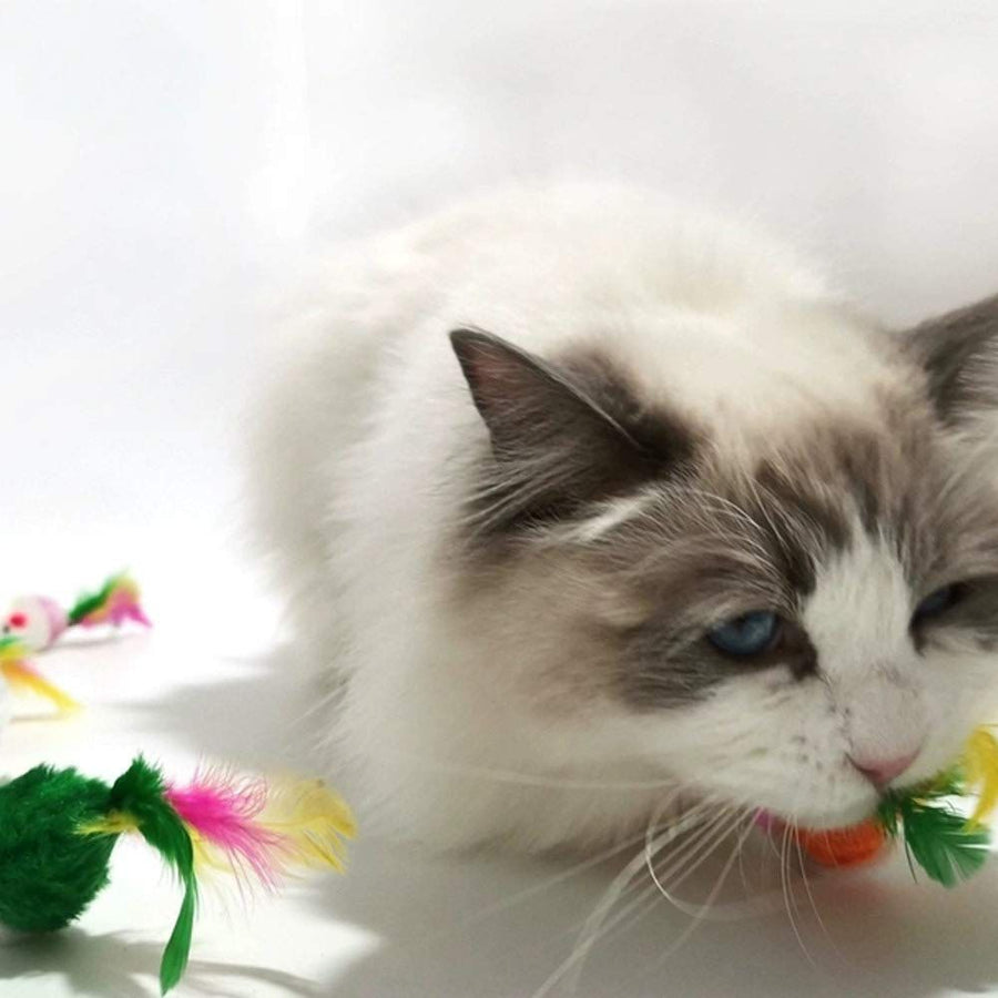 Cat Mice Toys for Indoor Cats 10pcs Color Random Variety - KAZIPAWS