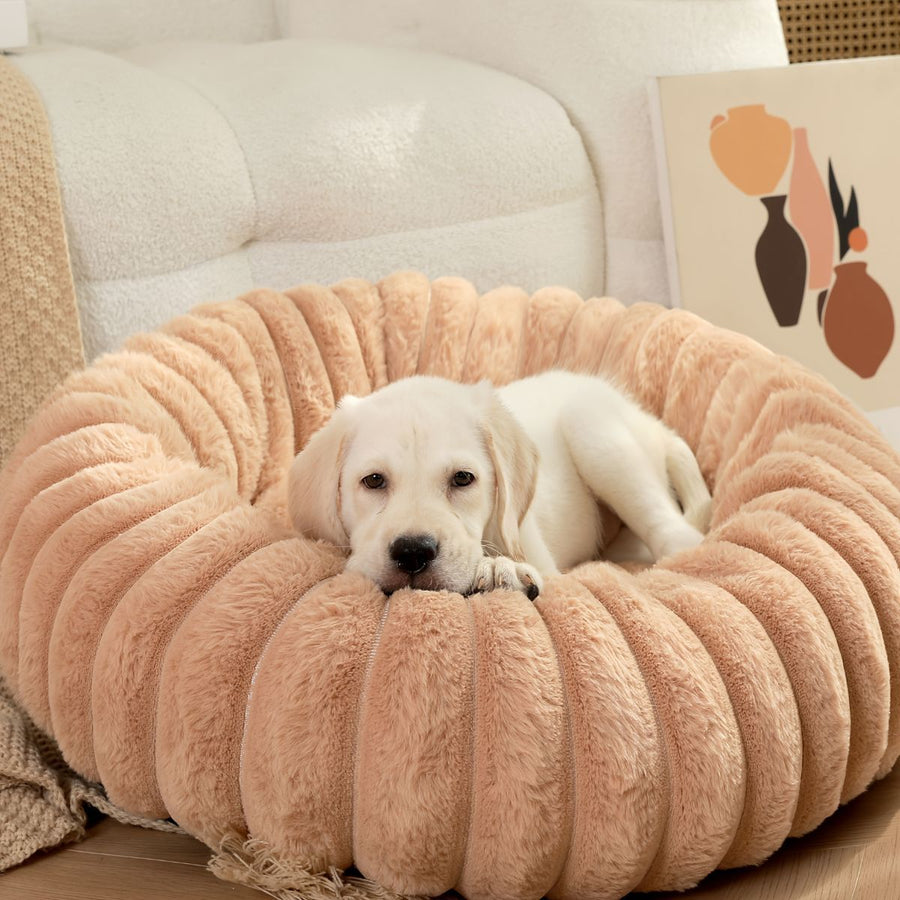 Pet Bed Dog Bed Cat Bed Small Bed Medium