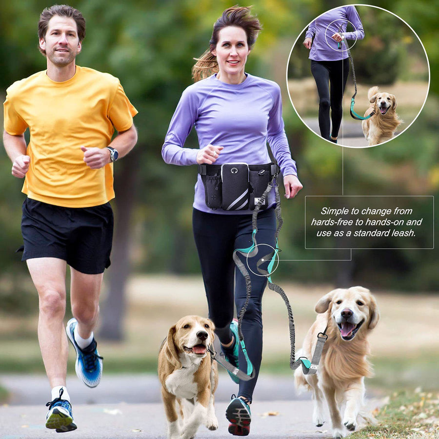 Hands Free Dog Leash Running Belt with Adjustable Bungee Lead(Gray), Multi Pocket Outdoor Waist Bag and Free Roll of 15 Poop Bags for Walking, Jogging and Running - KAZIPAWS
