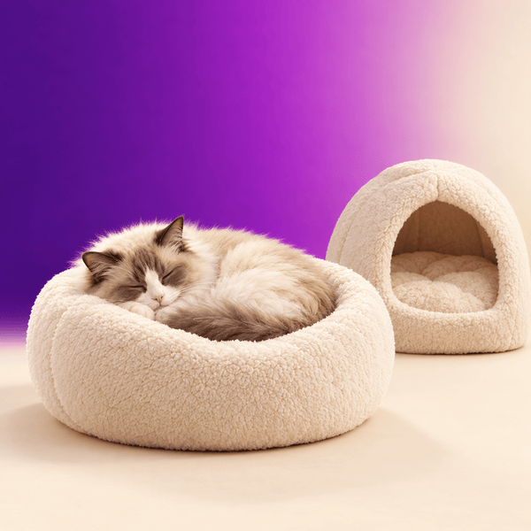 Cat Bed and furniture