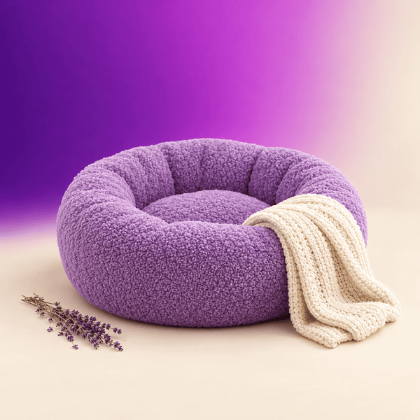 Dog Bed & blankets