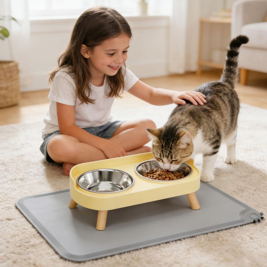 Cat Feeder Elevated Feeder Dual Bowl Feeder - KAZIPAWS