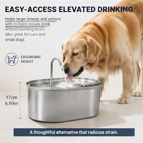 The Doggy Fountain, Quiet Floor-Standing Automatic Pet Water Fountain for Dogs & Cats, Cordless Dog Water Bowl Dispenser with Oval Faucet Round Window, Indoor Watering for Large/Small Pets - KAZIPAWS