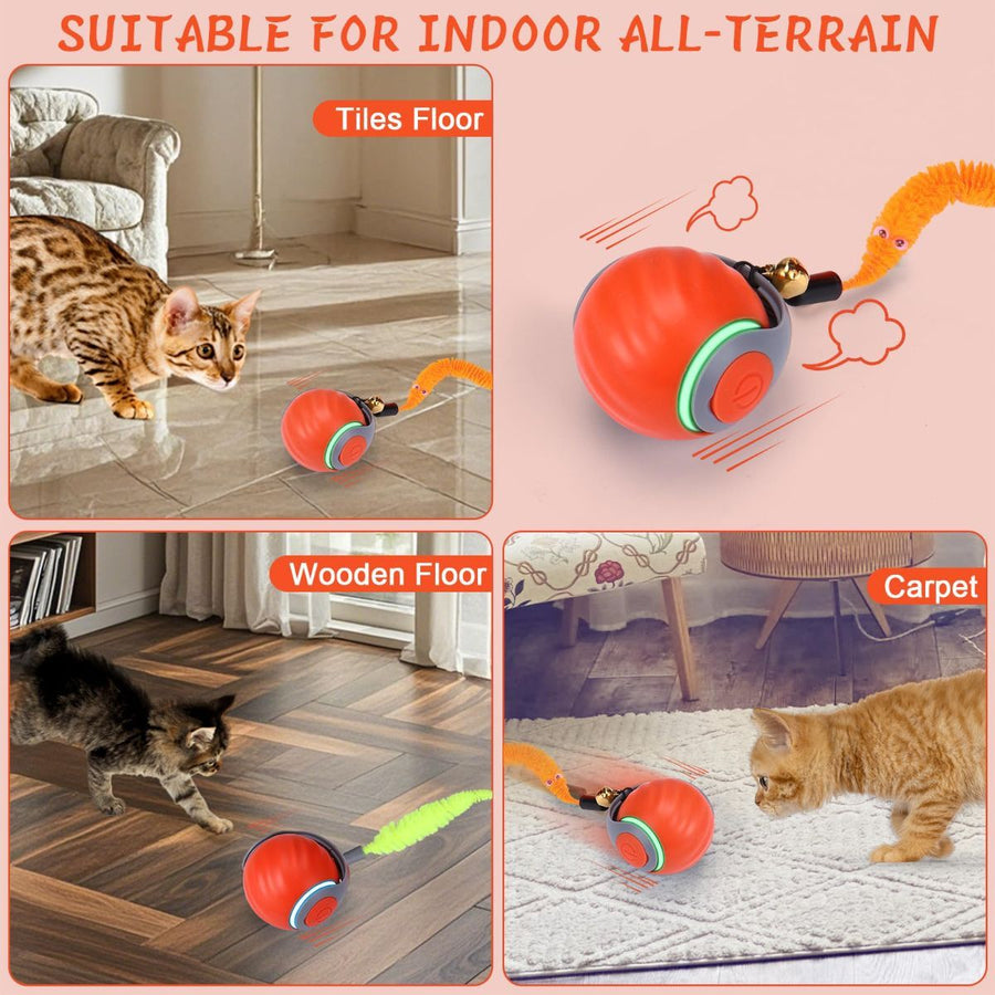 Interactive Cat Ball Toy with Feather Worm &amp; Jingle Bells II - KAZIPAWS