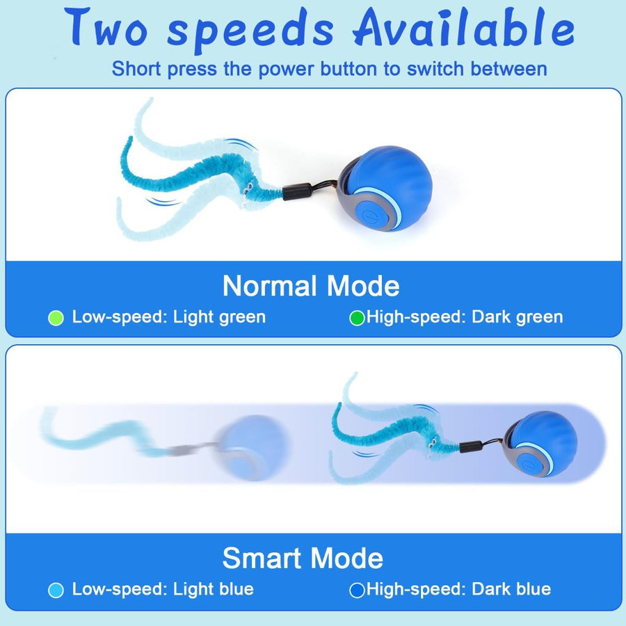 Interactive Cat Ball Toy with Feather Worm &amp; Jingle Bells - KAZIPAWS