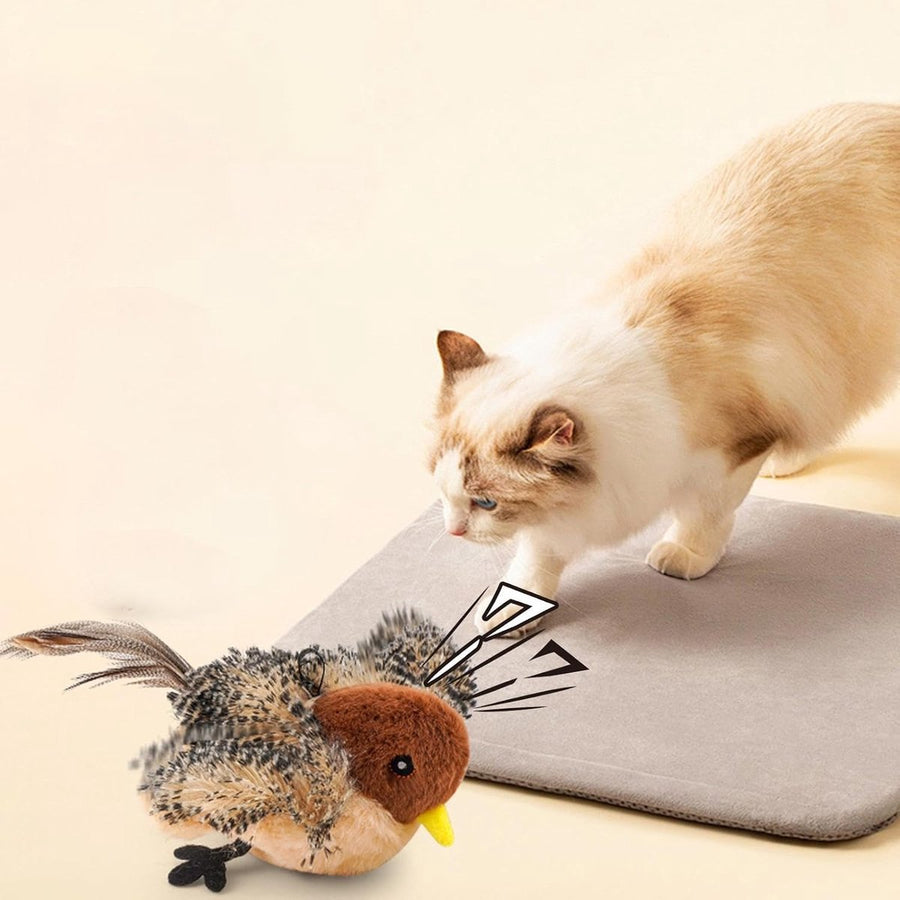 Cat Toys with Catnip Flappy Bird Toy for Indoor - KAZIPAWS