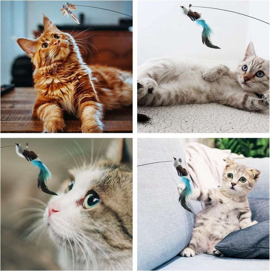 Toy Fishing Rod for Cats Cat Play Rod Fishing - KAZIPAWS