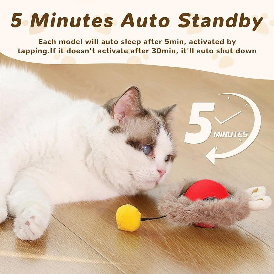 Cat Toys Balls Interactive Toy Ball Toys - KAZIPAWS