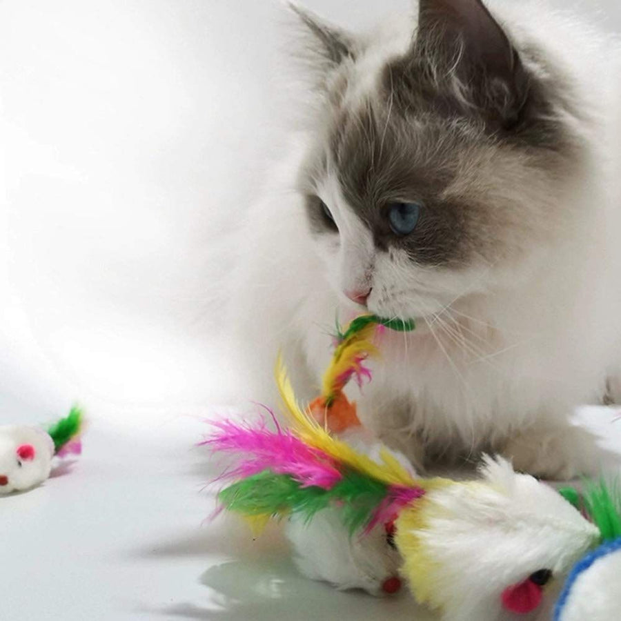 Cat Mice Toys for Indoor Cats 10pcs Color Random Variety - KAZIPAWS