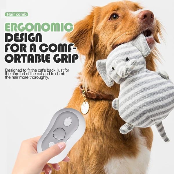 3 in 1 Steam Cat Brush USB Rechargeable Steaming Grooming - KAZIPAWS