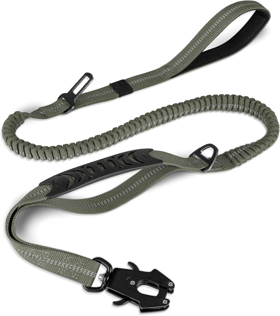 Bungee Dog Leash - Olive
