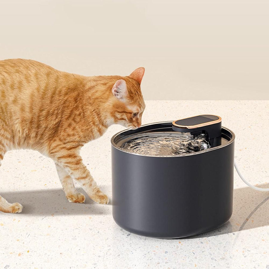 Pet Water Fountain Cat Dog Automatic Electric Drinking Dispenser with Red Light Indicator Black - KAZIPAWS