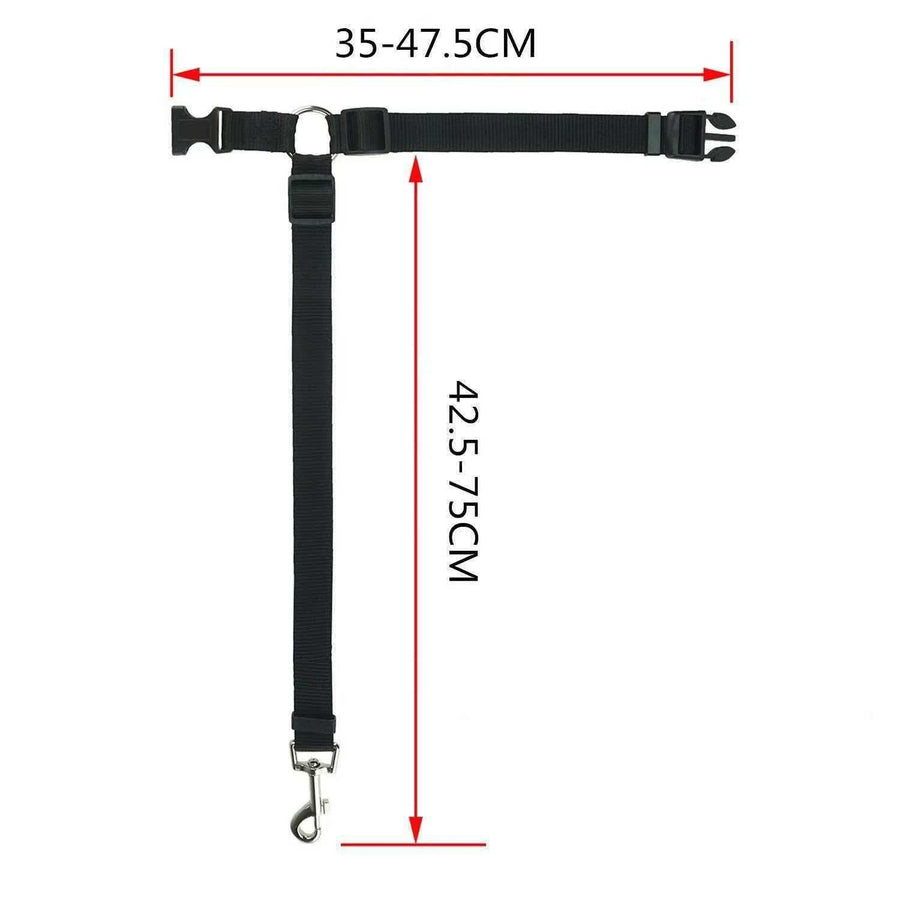 Adjustable Dog Car Seat Belt – Elastic Safety Lead with Secure Clip – Rose Red - KAZIPAWS