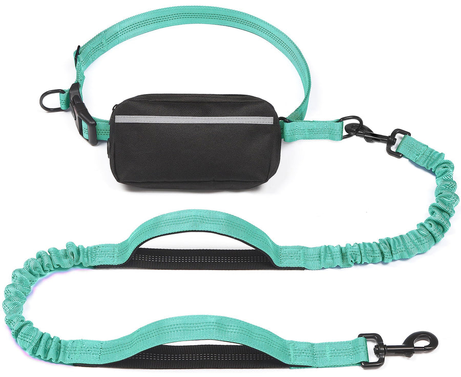 Hands-Free Dog Leash with Waist Belt and Storage Pouch, Shock-Absorbing Bungee Leash for Running, Walking, and Outdoor Adventures, Reflective Safety Design for Night Walks (Purple) - KAZIPAWS