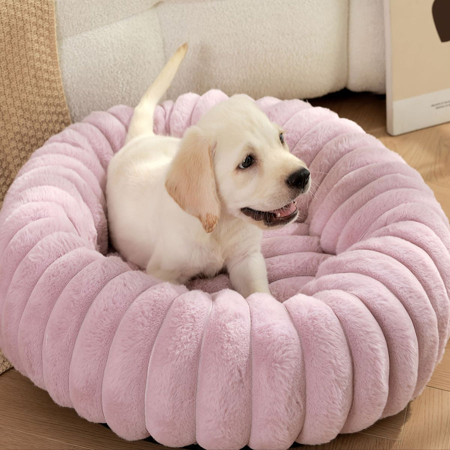 Pet Bed Dog Bed Cat Bed Small Bed Medium
