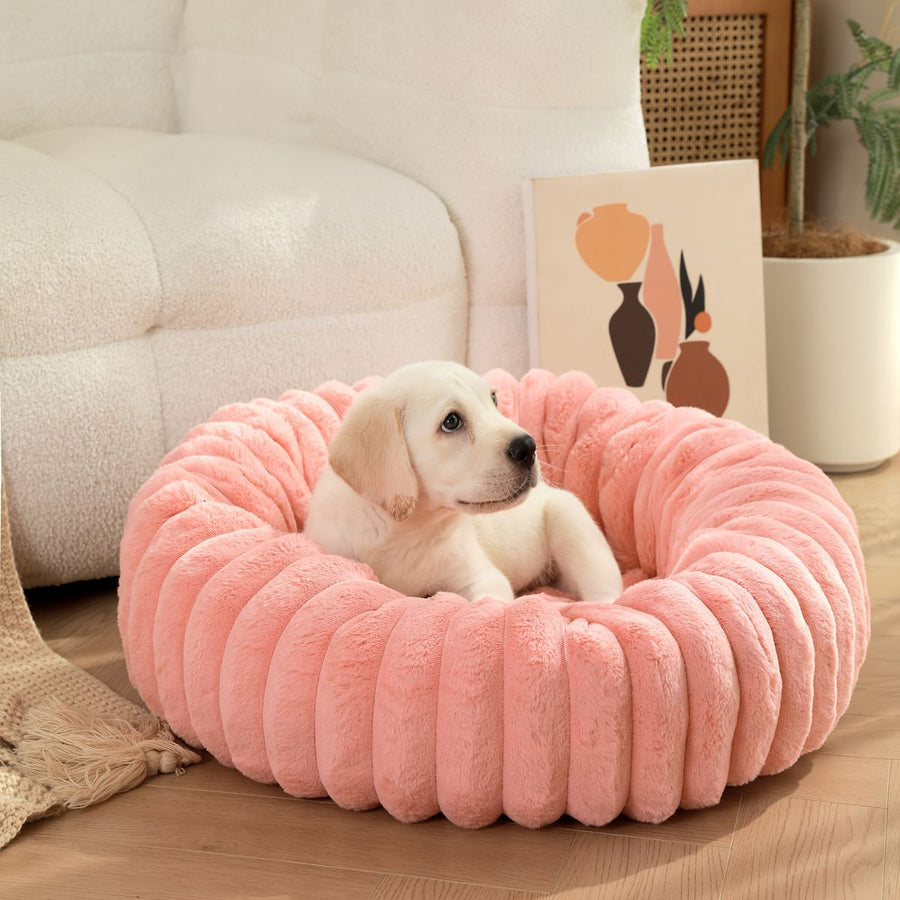 Pet Bed Dog Bed Cat Bed Small Bed Medium