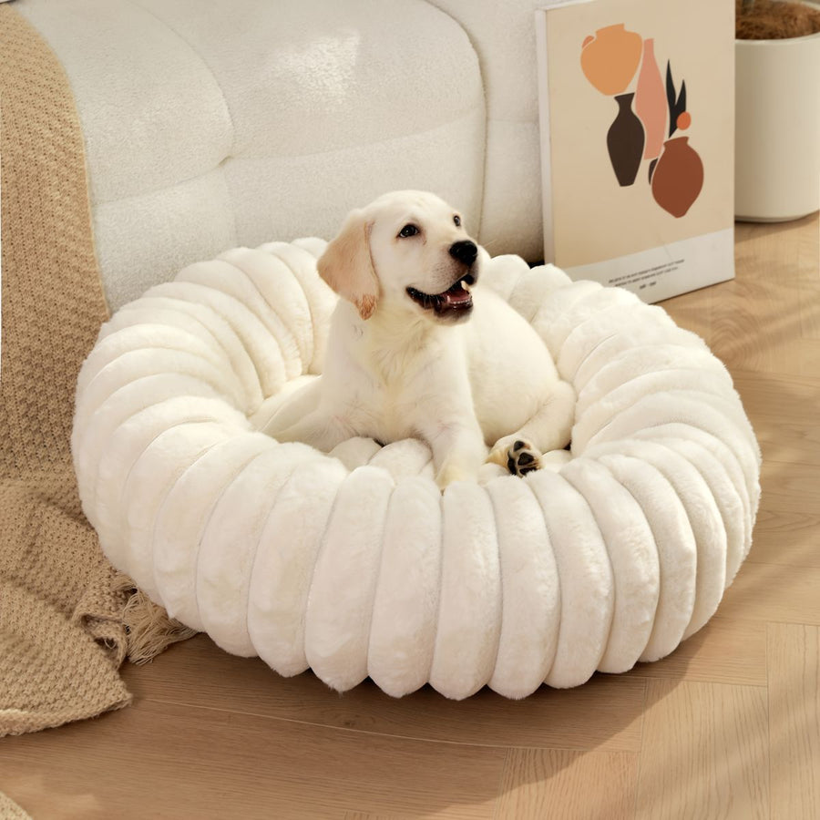 Pet Bed Dog Bed Cat Bed Small Bed Medium