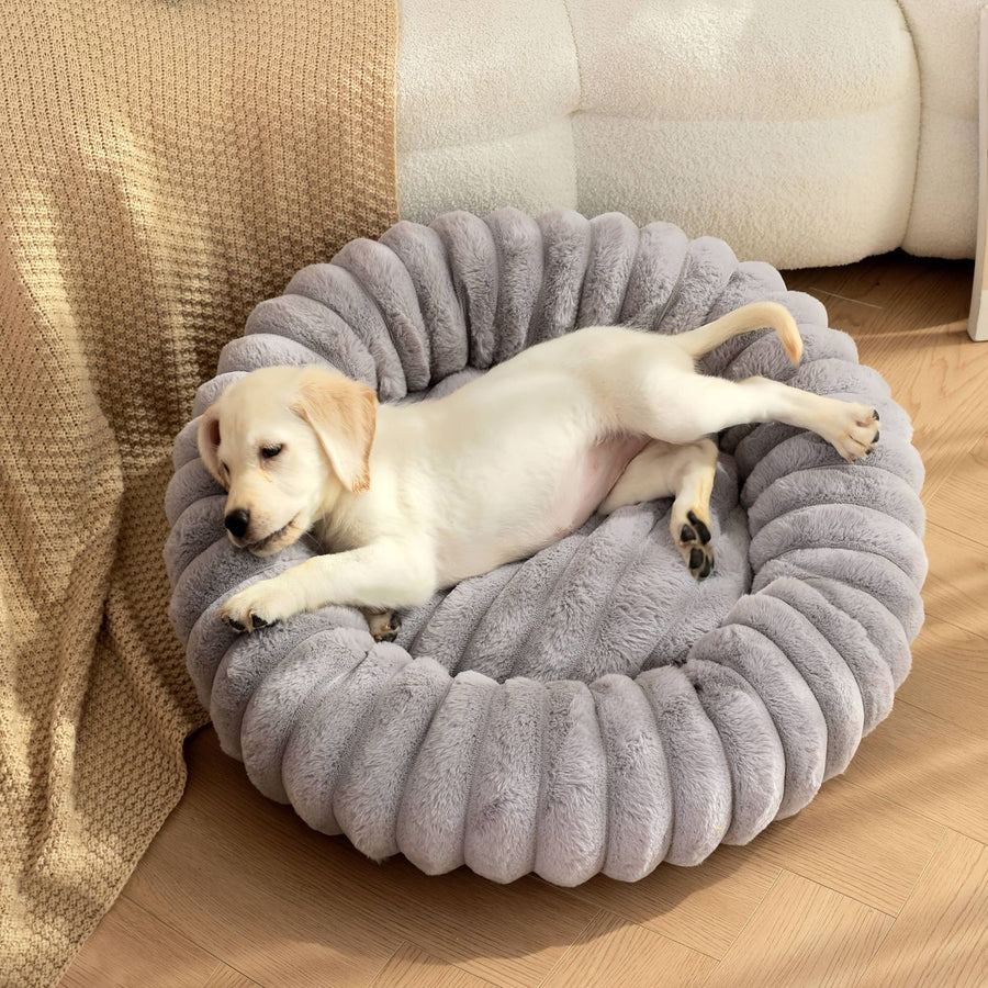 Pet Bed Dog Bed Cat Bed Small Bed Medium