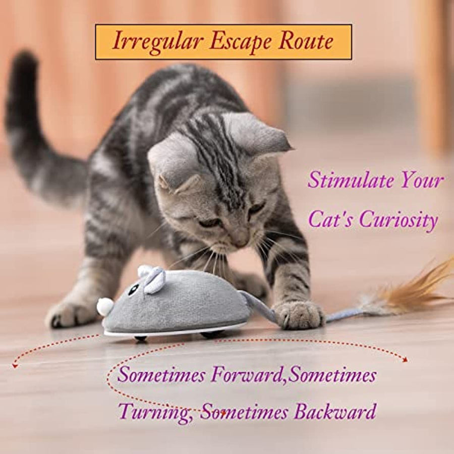 Automatic Cat Feather Wand Toy – Smart Sensing Interactive Mouse Toy - KAZIPAWS
