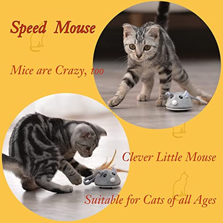 Automatic Cat Feather Wand Toy – Smart Sensing Interactive Mouse Toy - KAZIPAWS