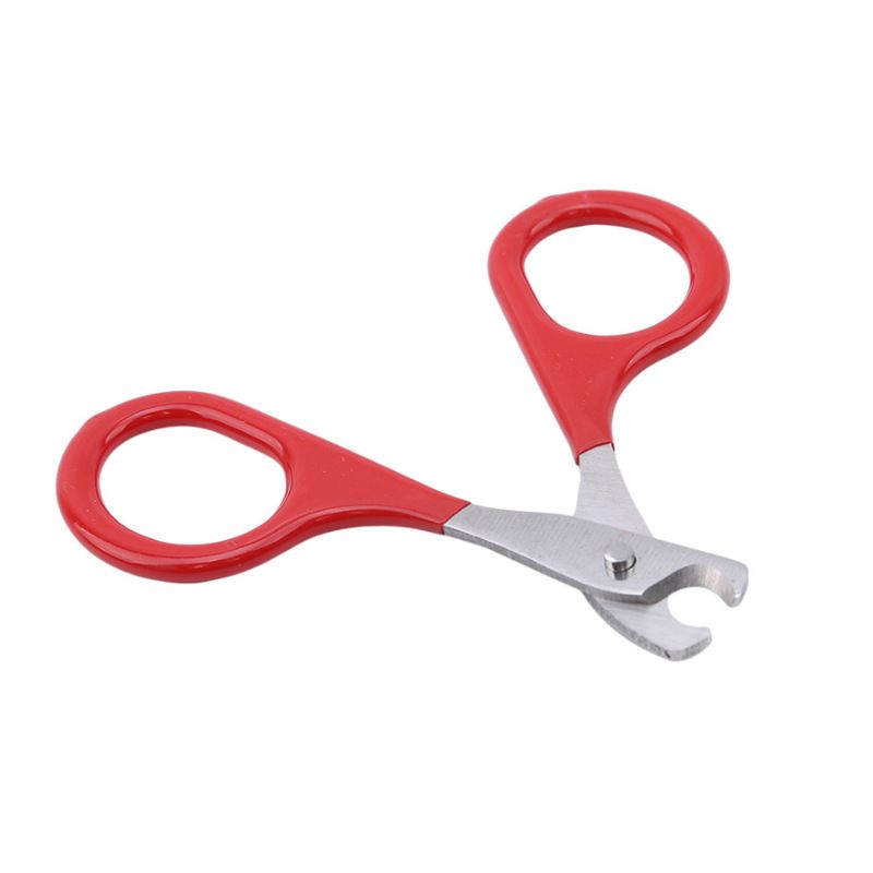 Pet Nail Clippers, Cat and Kitten Claw Nail Clippers for Trimming, Professional Pet Nail Clippers Best for A Cat, Puppy - KAZIPAWS