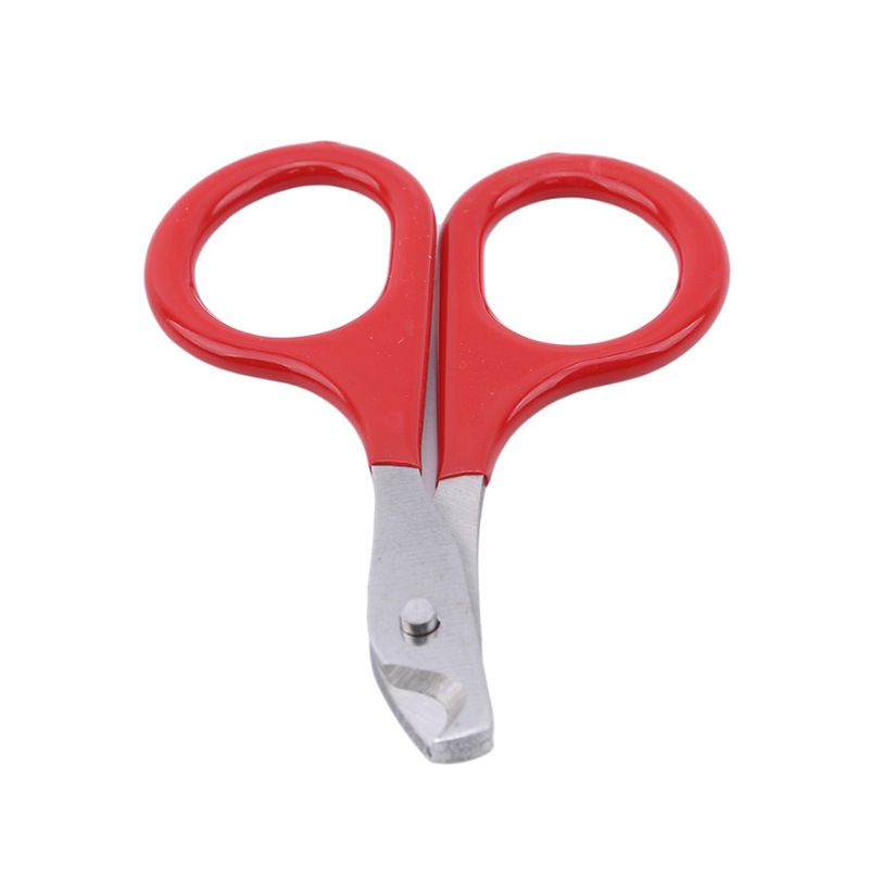 Pet Nail Clippers, Cat and Kitten Claw Nail Clippers for Trimming, Professional Pet Nail Clippers Best for A Cat, Puppy - KAZIPAWS