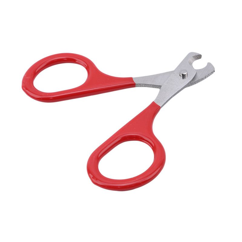 Pet Nail Clippers, Cat and Kitten Claw Nail Clippers for Trimming, Professional Pet Nail Clippers Best for A Cat, Puppy - KAZIPAWS