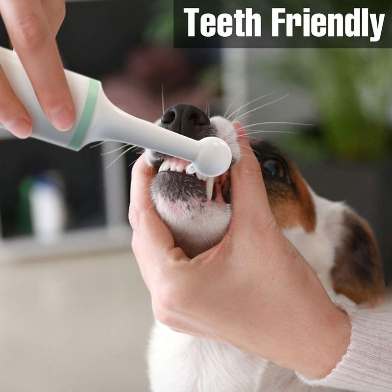 Electric Pet Toothbrush Dog Teeth Cleaning Kit Tooth - KAZIPAWS