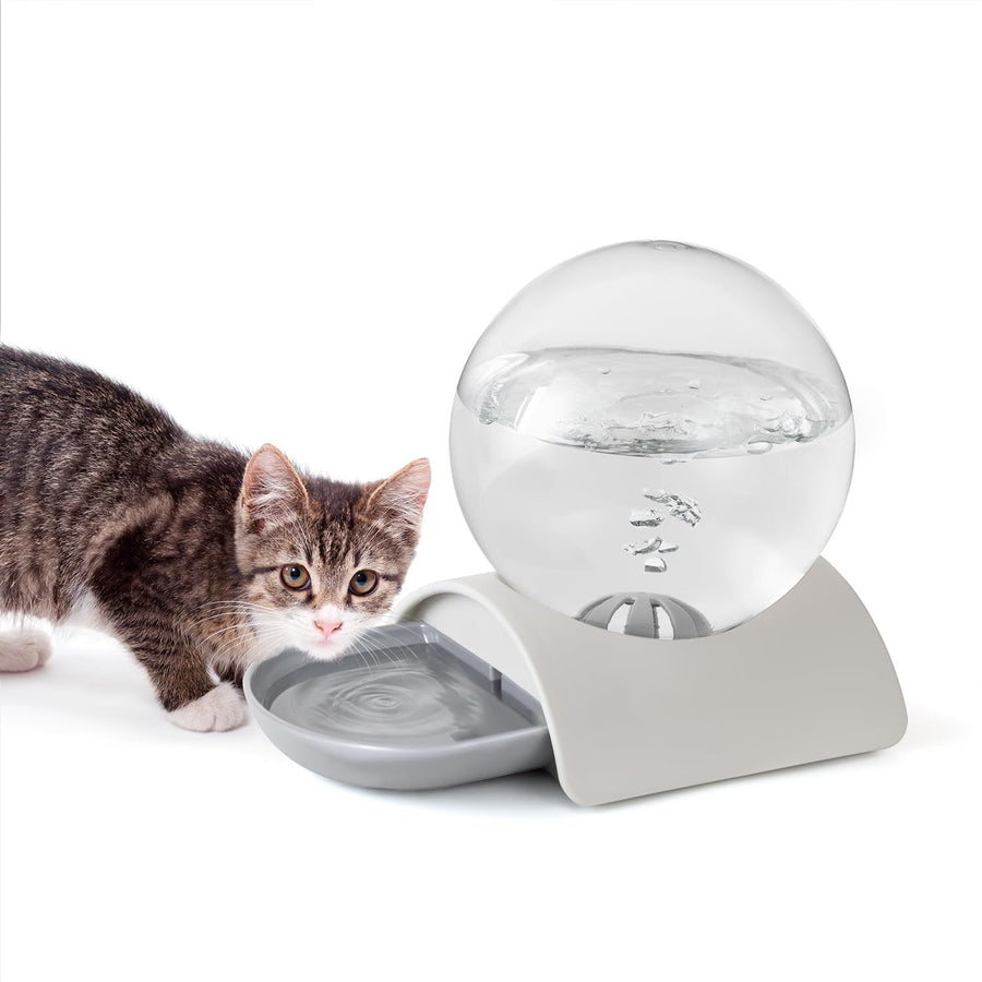 Pet Water Dispenser 2 8L Automatic Gravity Cat Water - KAZIPAWS