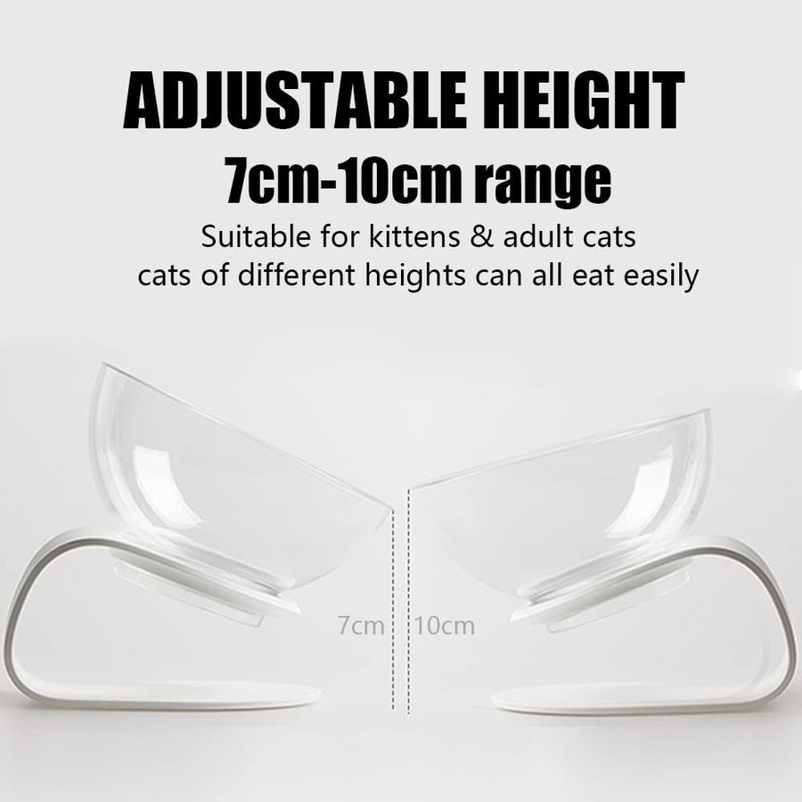 Raised Cat Bowl with Stand 15 Tilted Bowls - KAZIPAWS