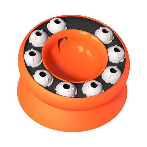 Cat Slow Feeder Raised Dog Food Bowls with Stand