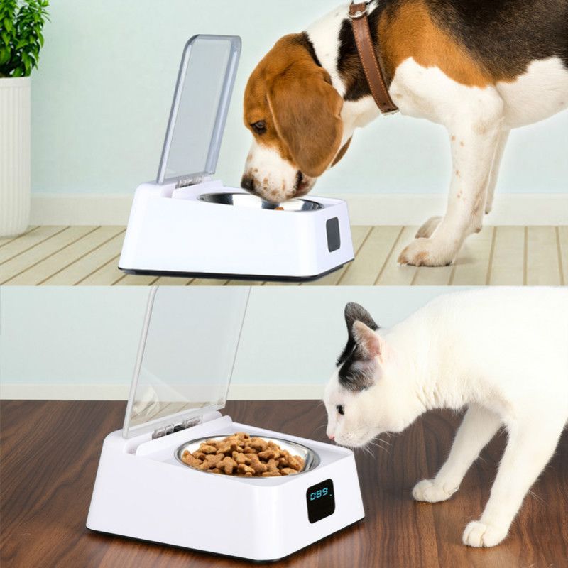 Automatic Pet Feeder Cat Food Dispenser with Infrared - KAZIPAWS
