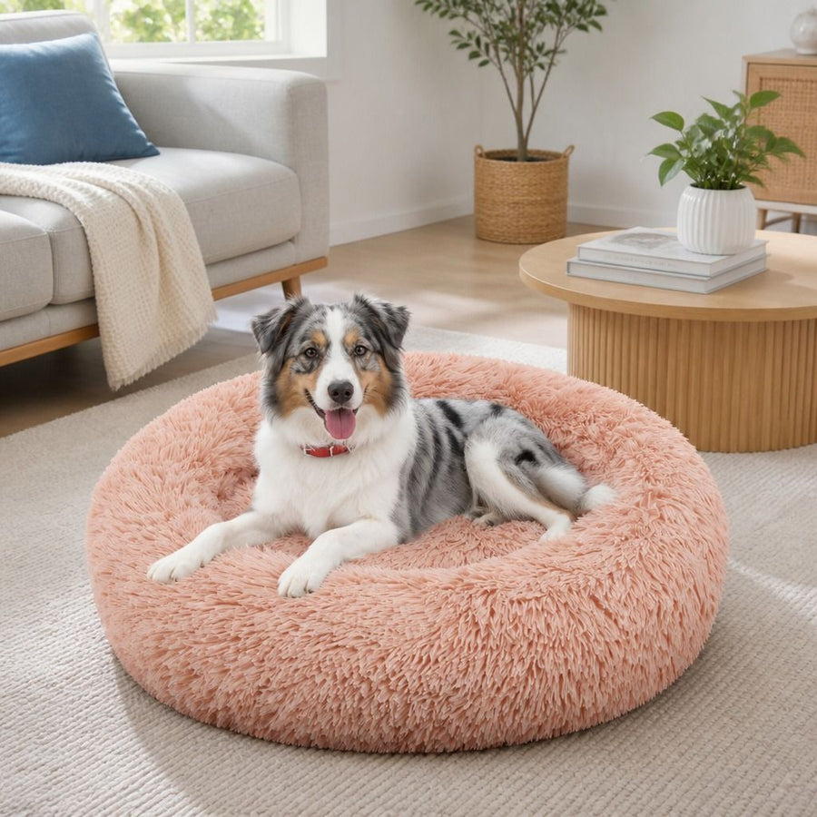 Calming Donut Dog Bed – Warm Plush Round Nest, Non-Slip (4 Colours, 2 Sizes) - KAZIPAWS