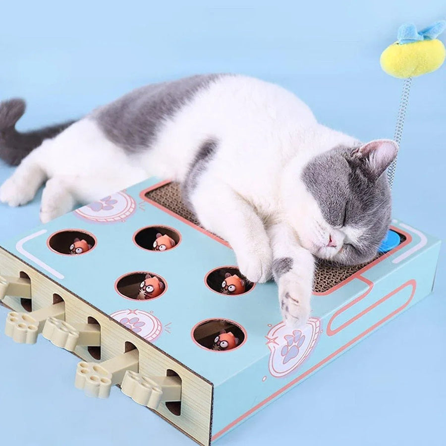 Multifunctional Cat Toys Corrugated Scratch Board for Cats - KAZIPAWS