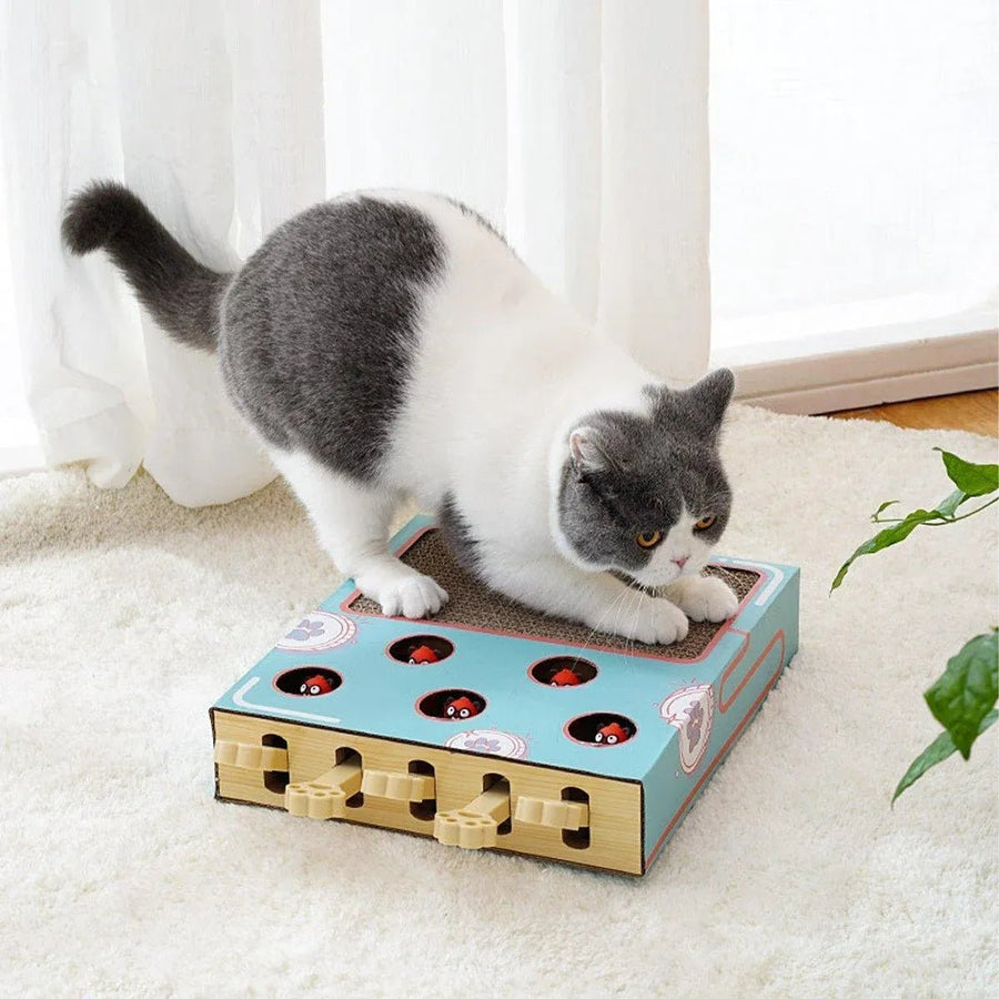 Multifunctional Cat Toys Corrugated Scratch Board for Cats - KAZIPAWS