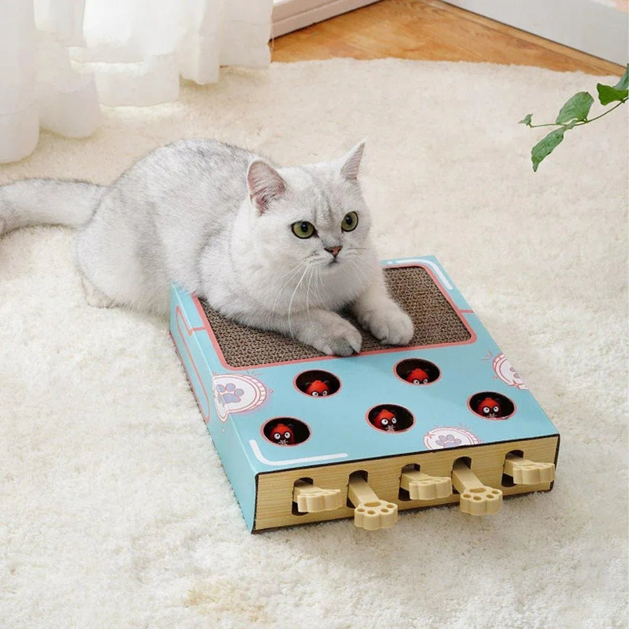 Multifunctional Cat Toys Corrugated Scratch Board for Cats - KAZIPAWS