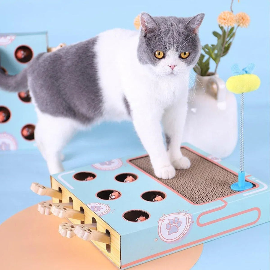 Multifunctional Cat Toys Corrugated Scratch Board for Cats - KAZIPAWS