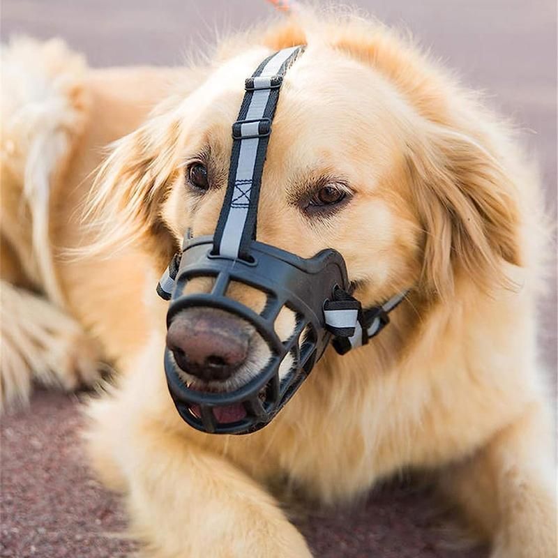 Soft Silicone Dog Basket Muzzle – Adjustable, Breathable & Anti-Bite – Size 2 - KAZIPAWS