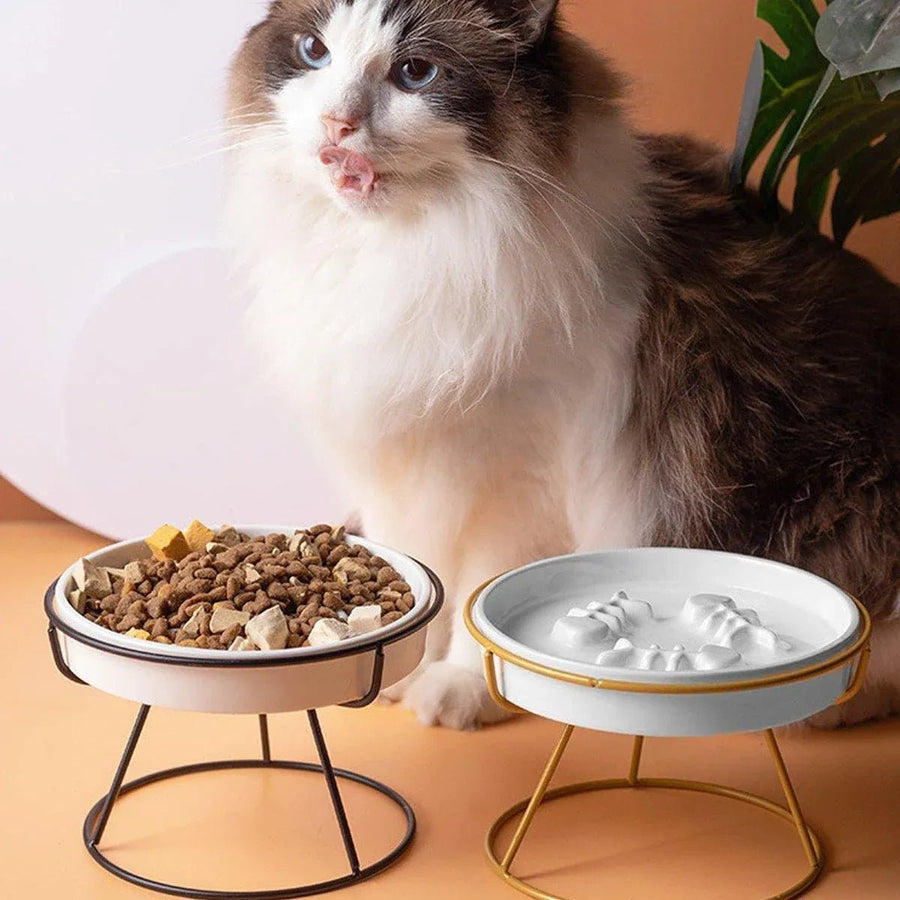 Ceramic Cat Bowl Slow Feeder Food Tray for Cats - KAZIPAWS