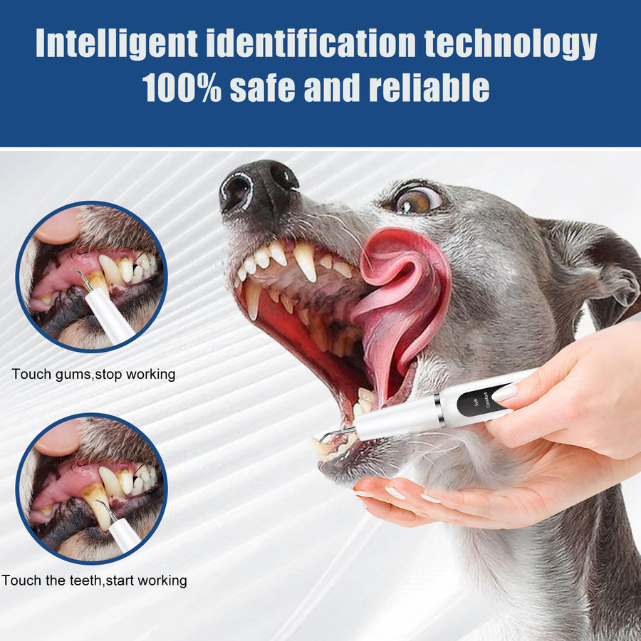 White Professional Pet Dental Cleaning Kit Ultrasonic - KAZIPAWS