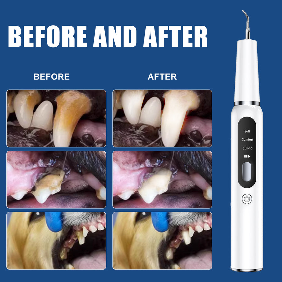 White Professional Pet Dental Cleaning Kit Ultrasonic - KAZIPAWS