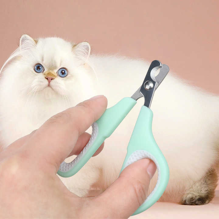 Blue Complete 5 in 1 Grooming Care Kit Professional - KAZIPAWS
