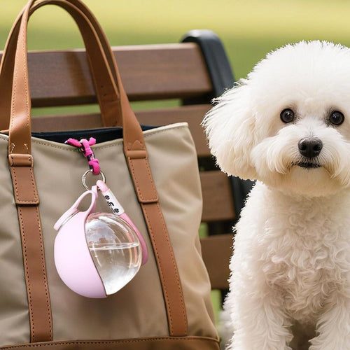 Pink Portable Water Bottle with Fold-Out Bowl — 285ml