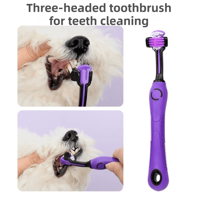Pet Grooming & Cleaning Kit 9 Piece Set with Shedding Brush, Steel Comb + Scissors, Nail Clippers + File, Bath Brush + Massage Glove, 3 Head Toothbrush and Storage Bag for Dog & Cat - KAZIPAWS
