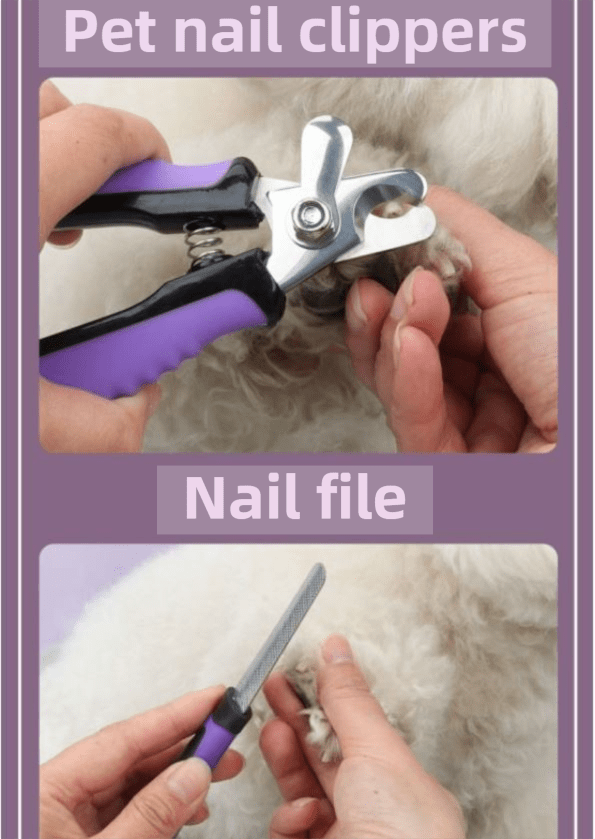 Pet Grooming & Cleaning Kit 9 Piece Set with Shedding Brush, Steel Comb + Scissors, Nail Clippers + File, Bath Brush + Massage Glove, 3 Head Toothbrush and Storage Bag for Dog & Cat - KAZIPAWS