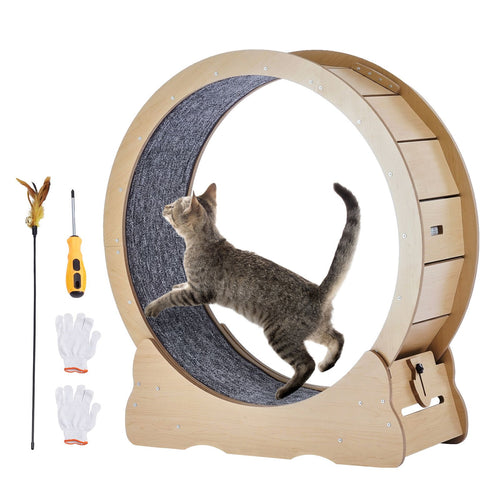 Cat Exercise Wheel Large Treadmill Wheel for Indoor Cats